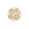 Sunflowers/daisys Mold - Designer Cookies ® STUDIO