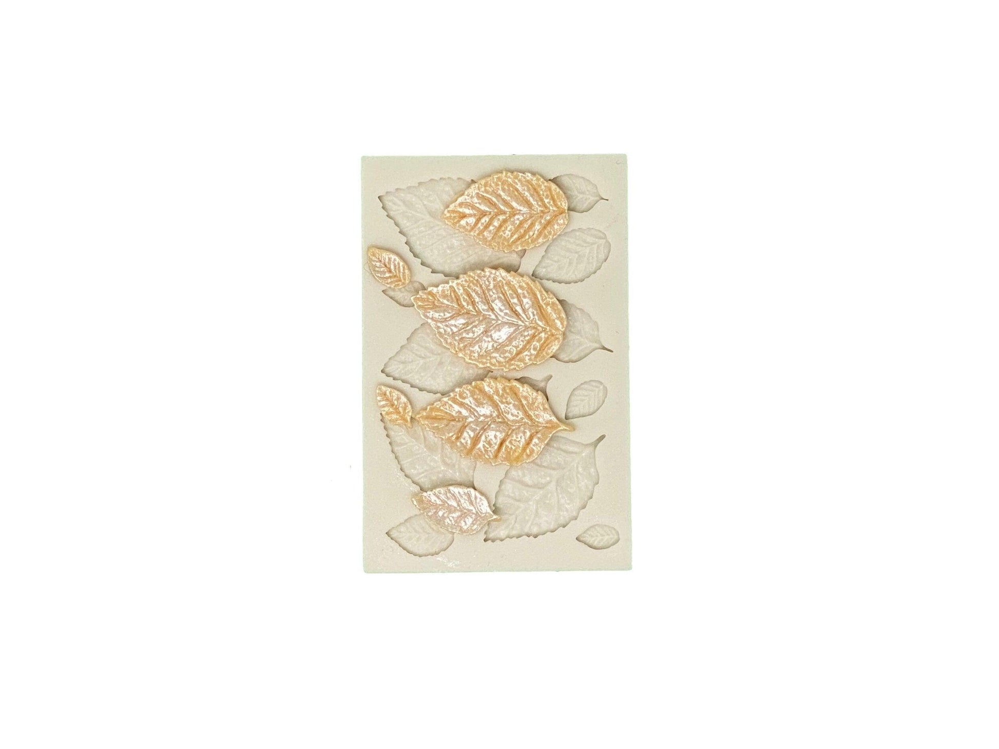 Leaves Mold - Designer Cookies ® STUDIO