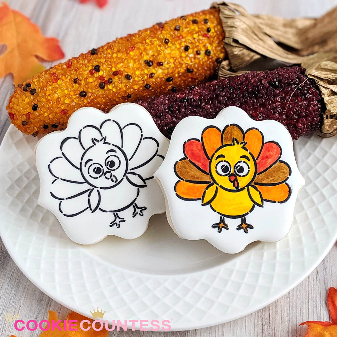 cute turkey pyo thankgiving paint your  own cookie stencil