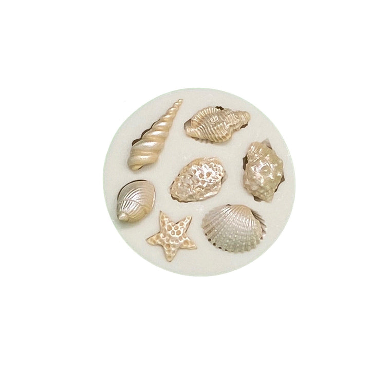 Shells 2 Silicone Mold - Designer Cookies ® STUDIO