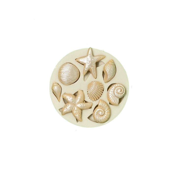 Shells 1 Silicone Mold - Designer Cookies ® STUDIO