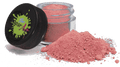 Assorted Elite Dust by The Sugar Art (not eligible for shipping) - Designer Cookies ® STUDIO